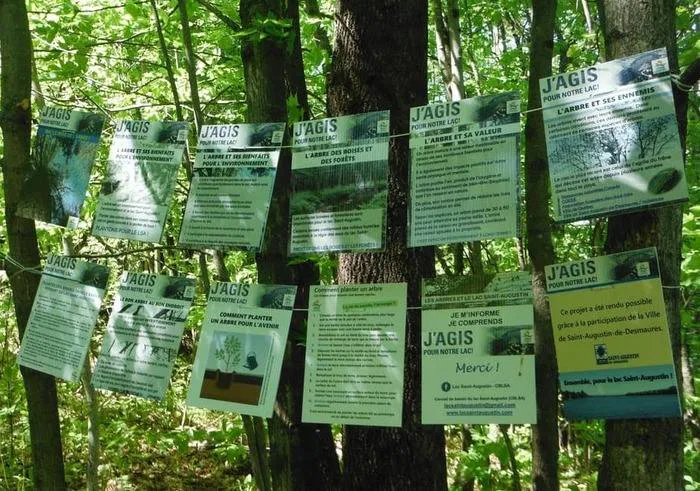 Affichettes thématiques