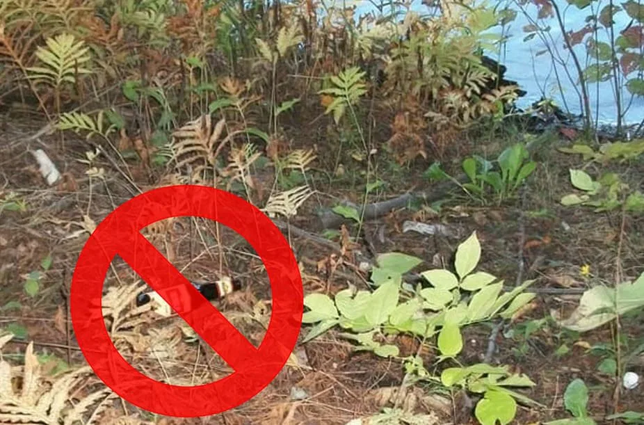 Sans trace au parc Riverain du lac Saint-Augustin