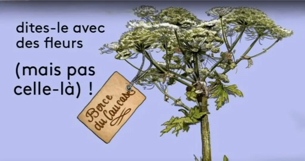 Dites-le avec des fleurs-1