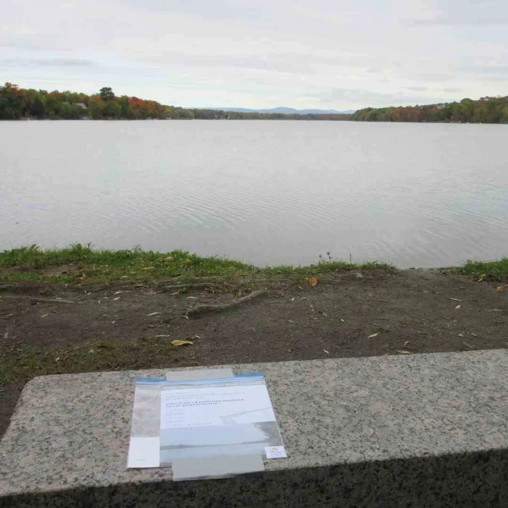 Les questions du Rallye 2022 au gros saule