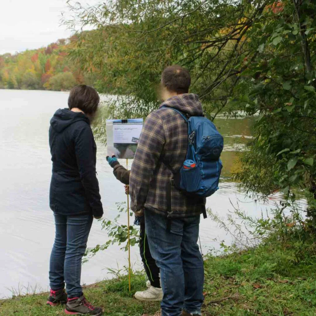 Les questions du Rallye 2022 au gros saule