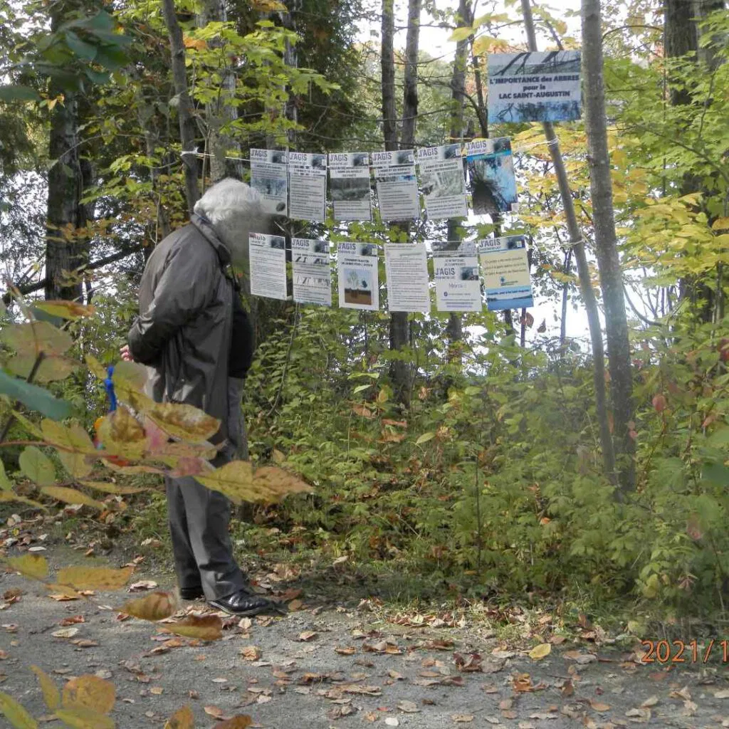 Les séries d'affichettes thématiques