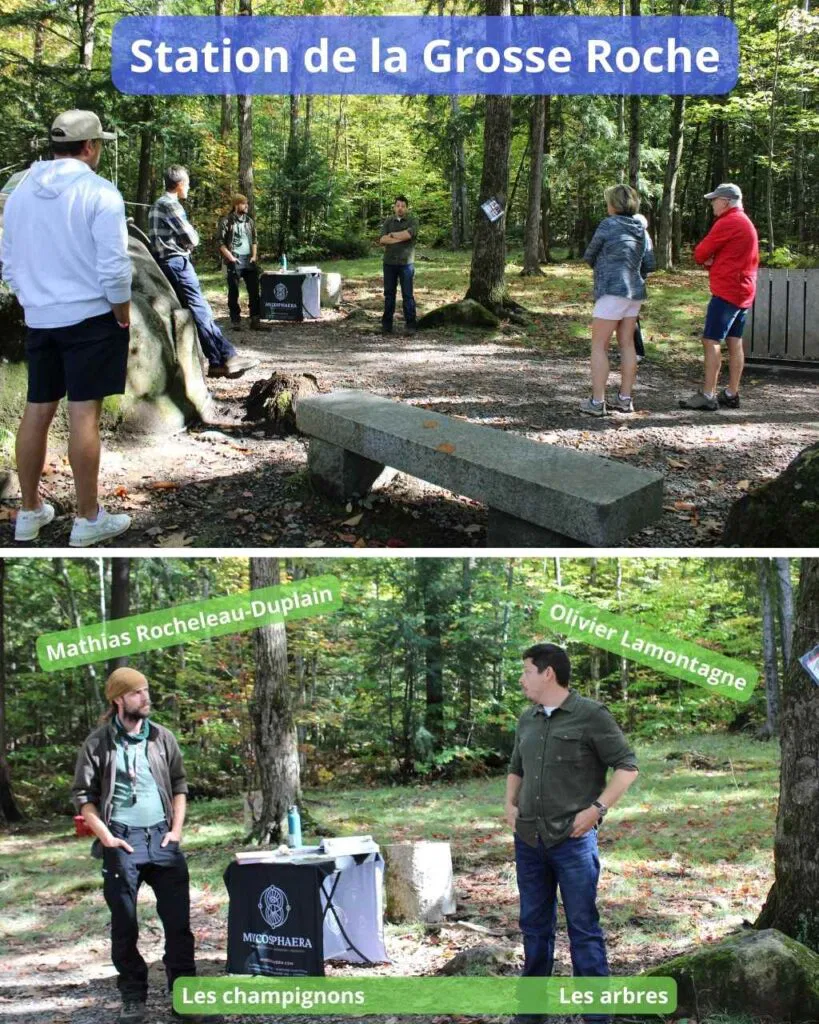Station la Grosse Roche au Rallye