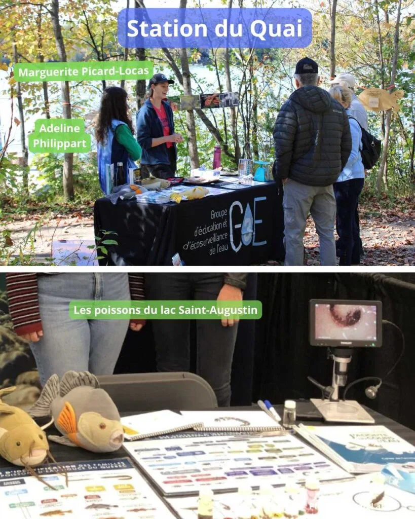 Station du Quai - Rallye 2024